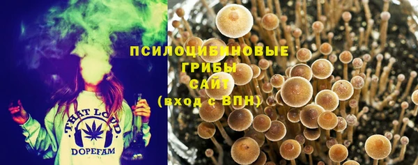 эйфоретик Лиски