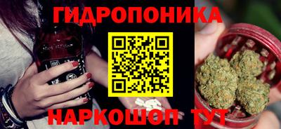 трава Кандалакша