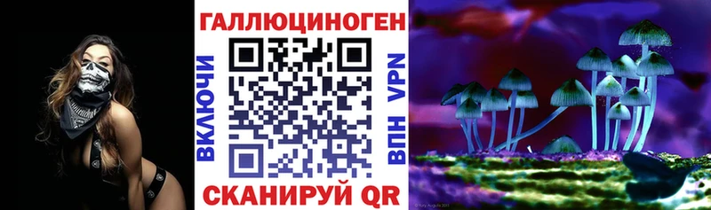 закладки  Сосновый Бор  Псилоцибиновые грибы прущие грибы 