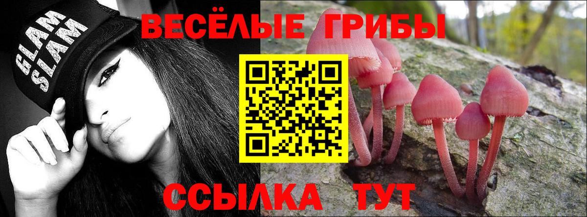 Псилоцибиновые грибы Cubensis  где купить наркотик  Сосновый Бор 