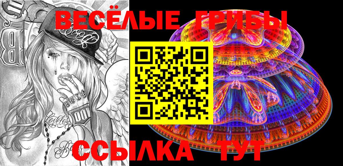Псилоцибиновые грибы прущие грибы  Вход с VPN  Сосновый Бор  цена наркотик  Псилоцибиновые грибы Magic Shrooms 