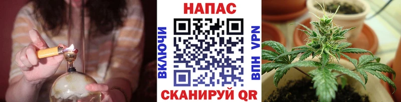 где купить Сосновый Бор Марихуана план